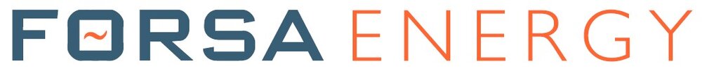 Forsa Logo